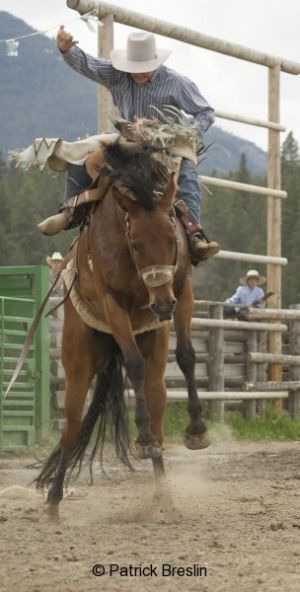 201005-Darby-Rodeo-006
